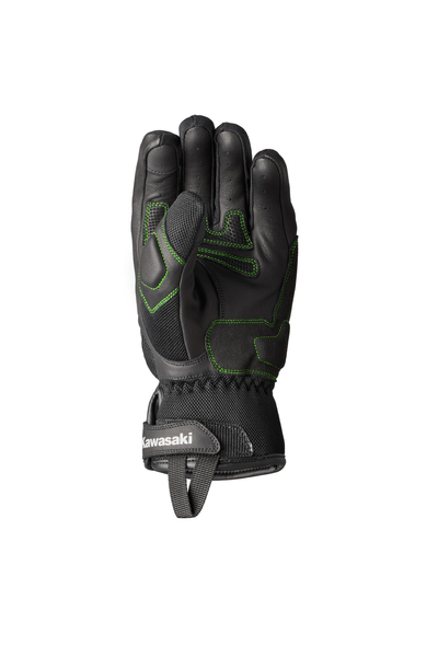 DIJON II Glove (Male)